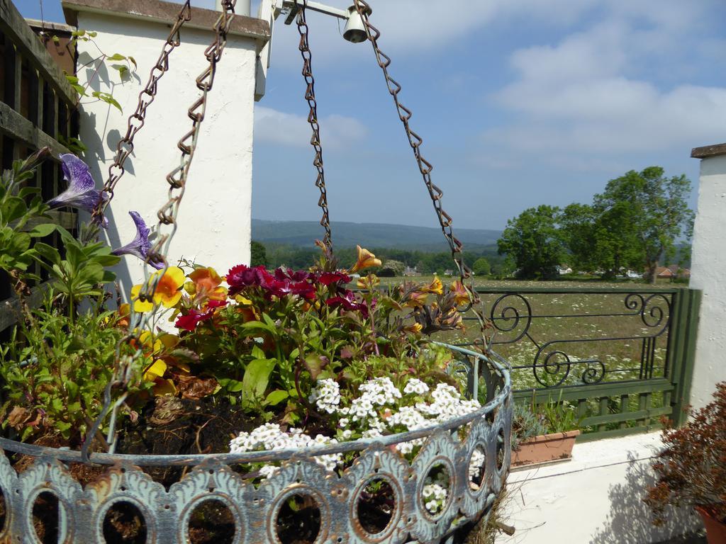 Dean Valley Panorama Bed & Breakfast Lydney Exterior photo
